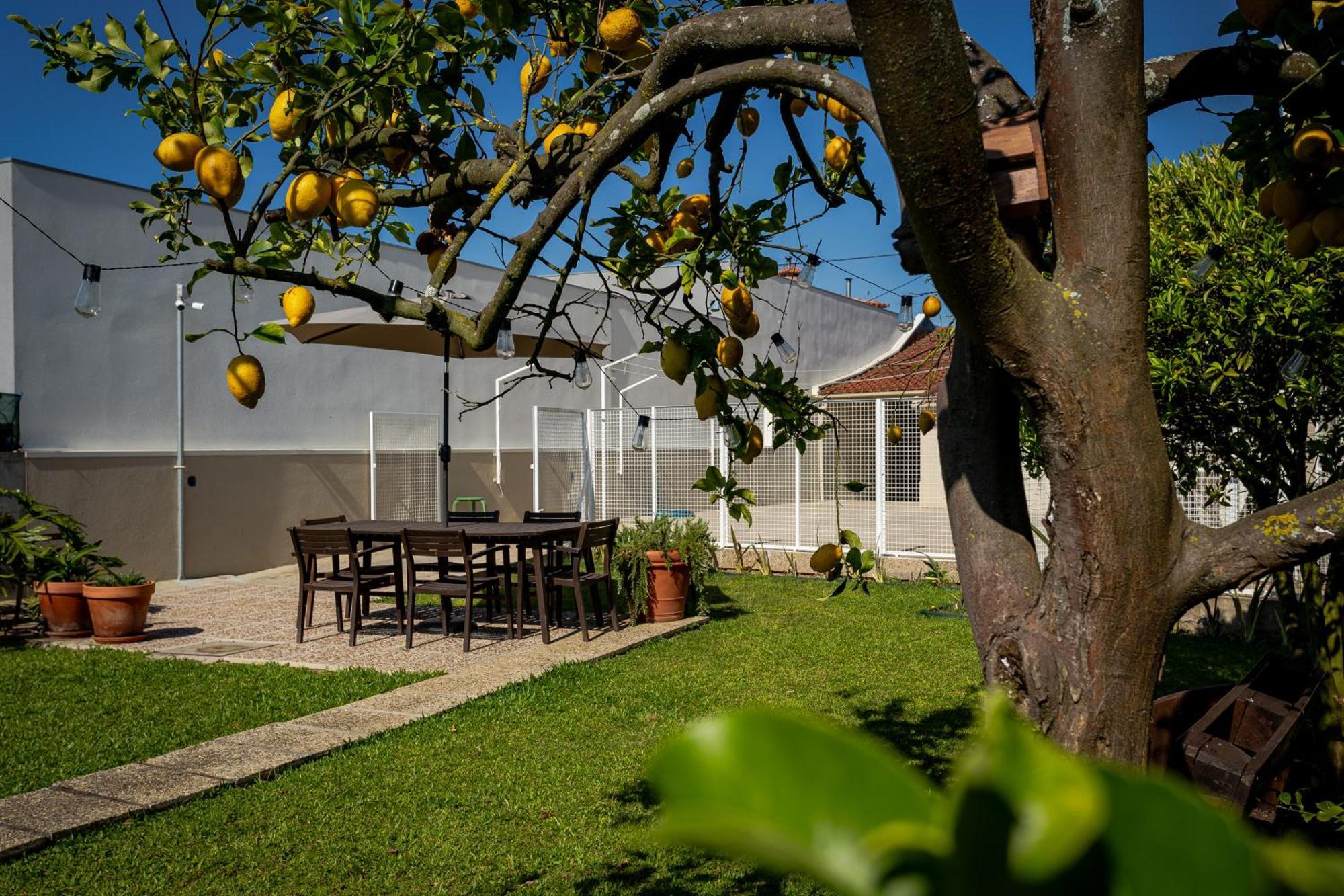 714 Mugnano House Aveleda Villa Vila do Conde Exteriör bild